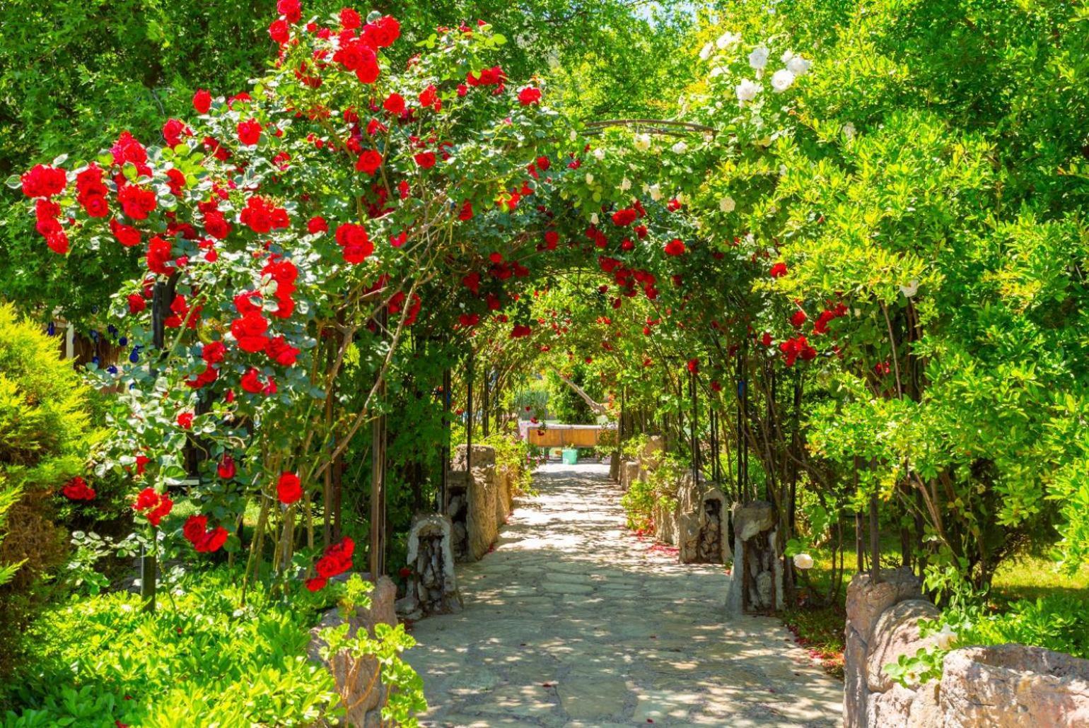 Villa Elmas Paradise Dalyan Εξωτερικό φωτογραφία